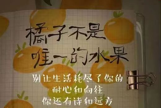 1712899145509990.jpg cef06afc9e46103842b93657d05a8db.jpg