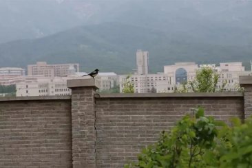 1713062955730037.png image.png