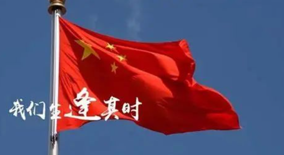 1713088036172038.png image.png