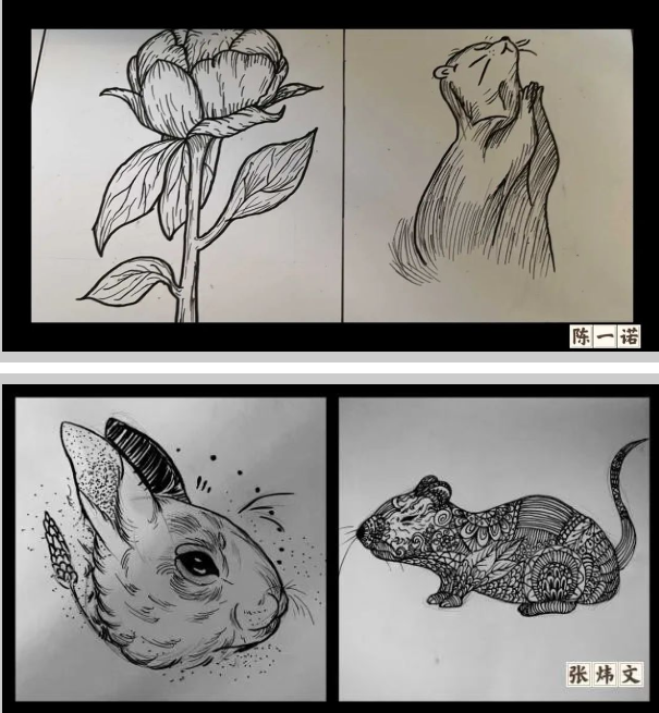 1713183499270600.png image.png