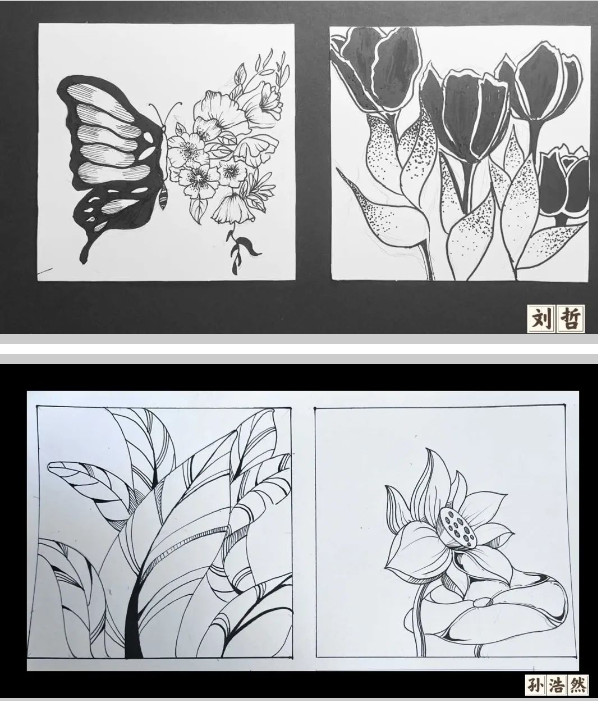 1713183512652875.png image.png