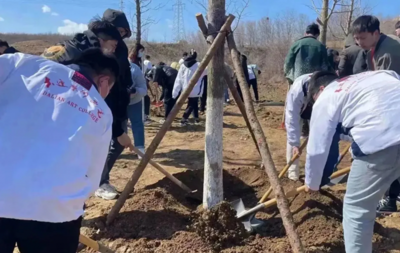 1713268155952875.png image.png