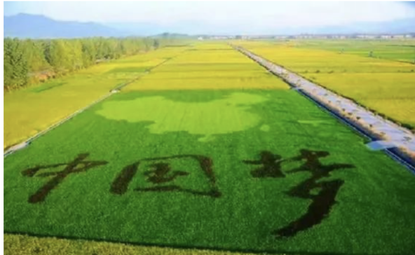 1722481634436086.png image.png